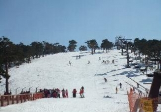 Cursos de esqui en Navacerrada